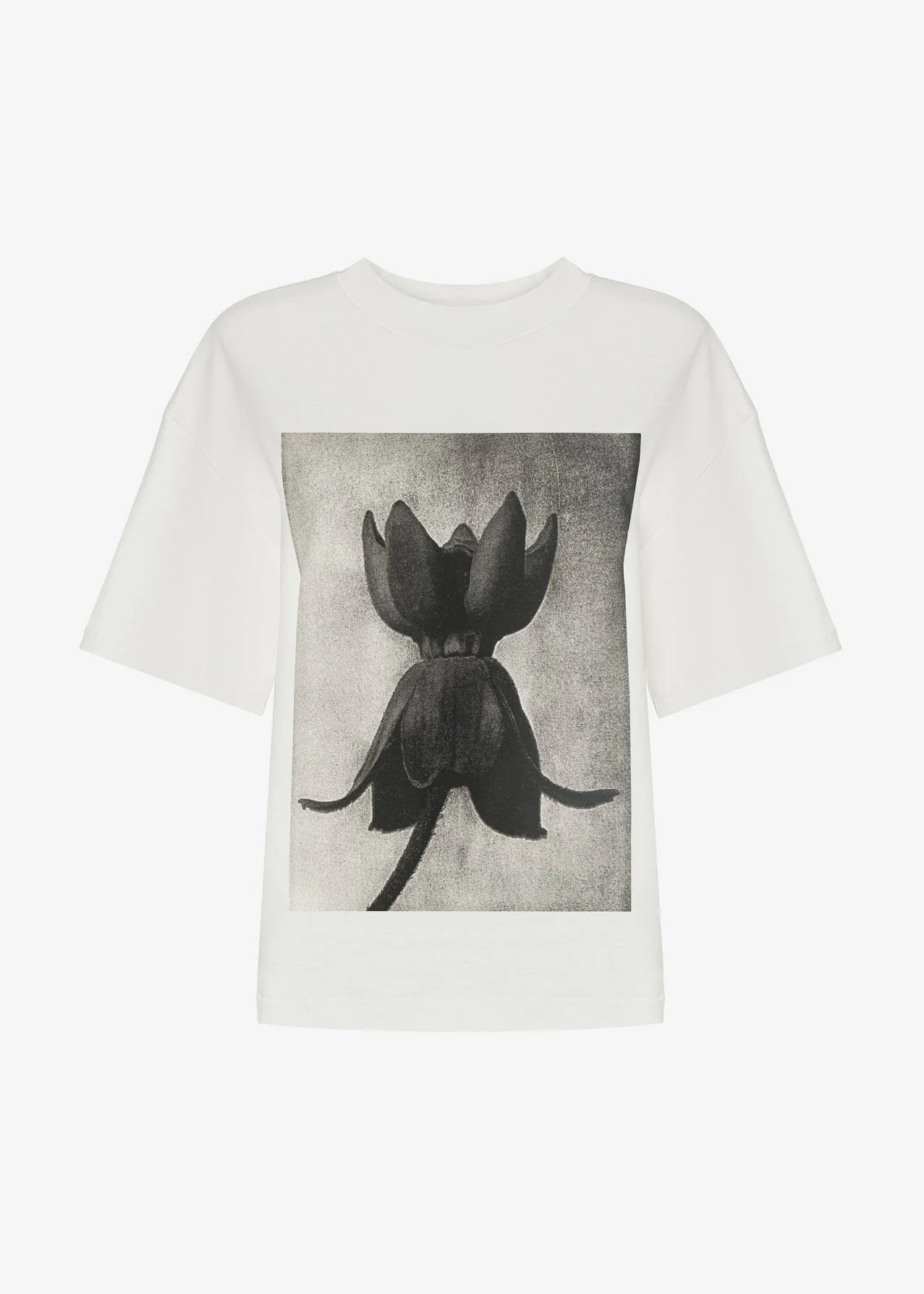 T-SHIRT GABRIELLE LIGHT ECRU - Image 3