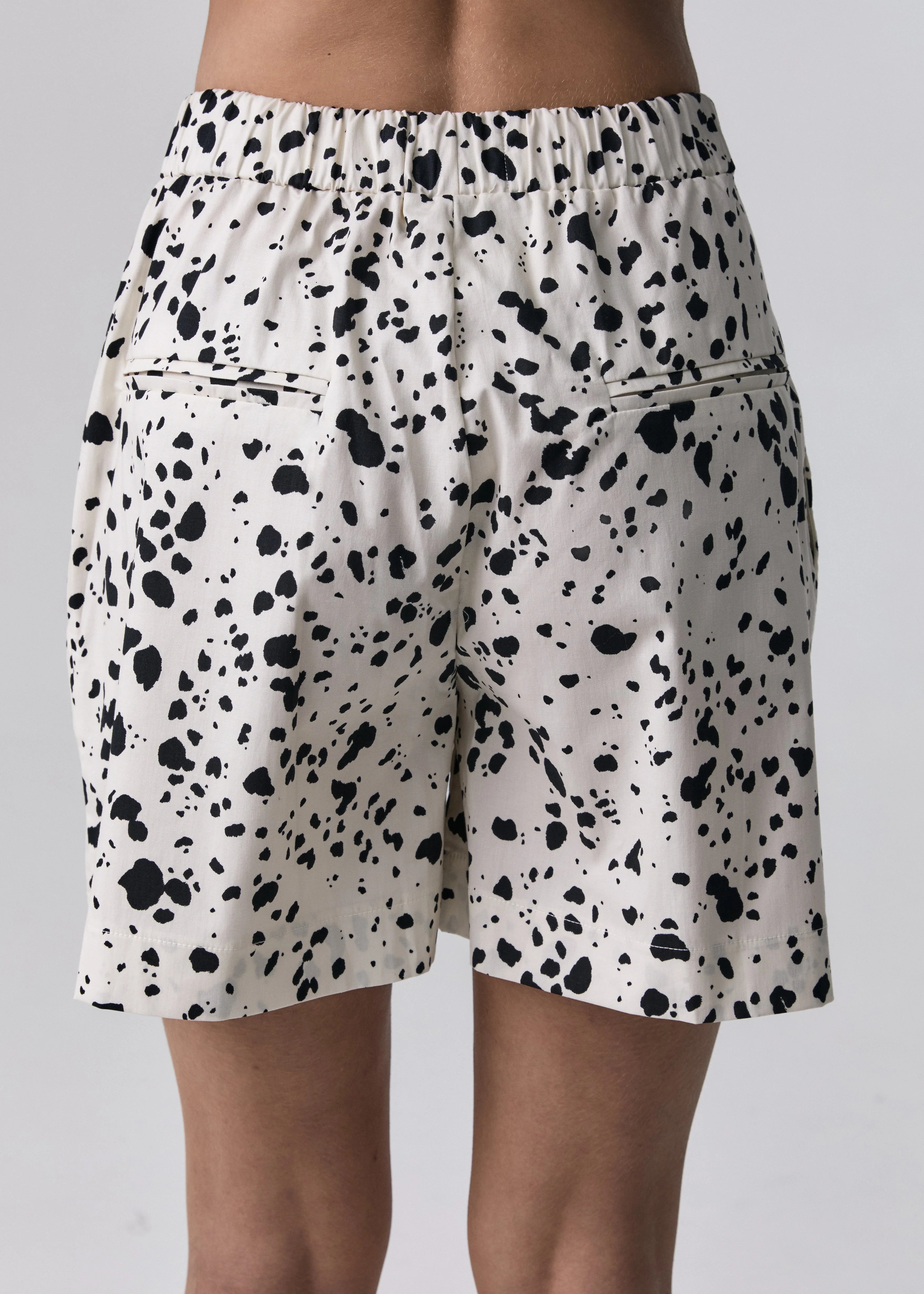 SZORTY ZIA DALMATA - Image 3