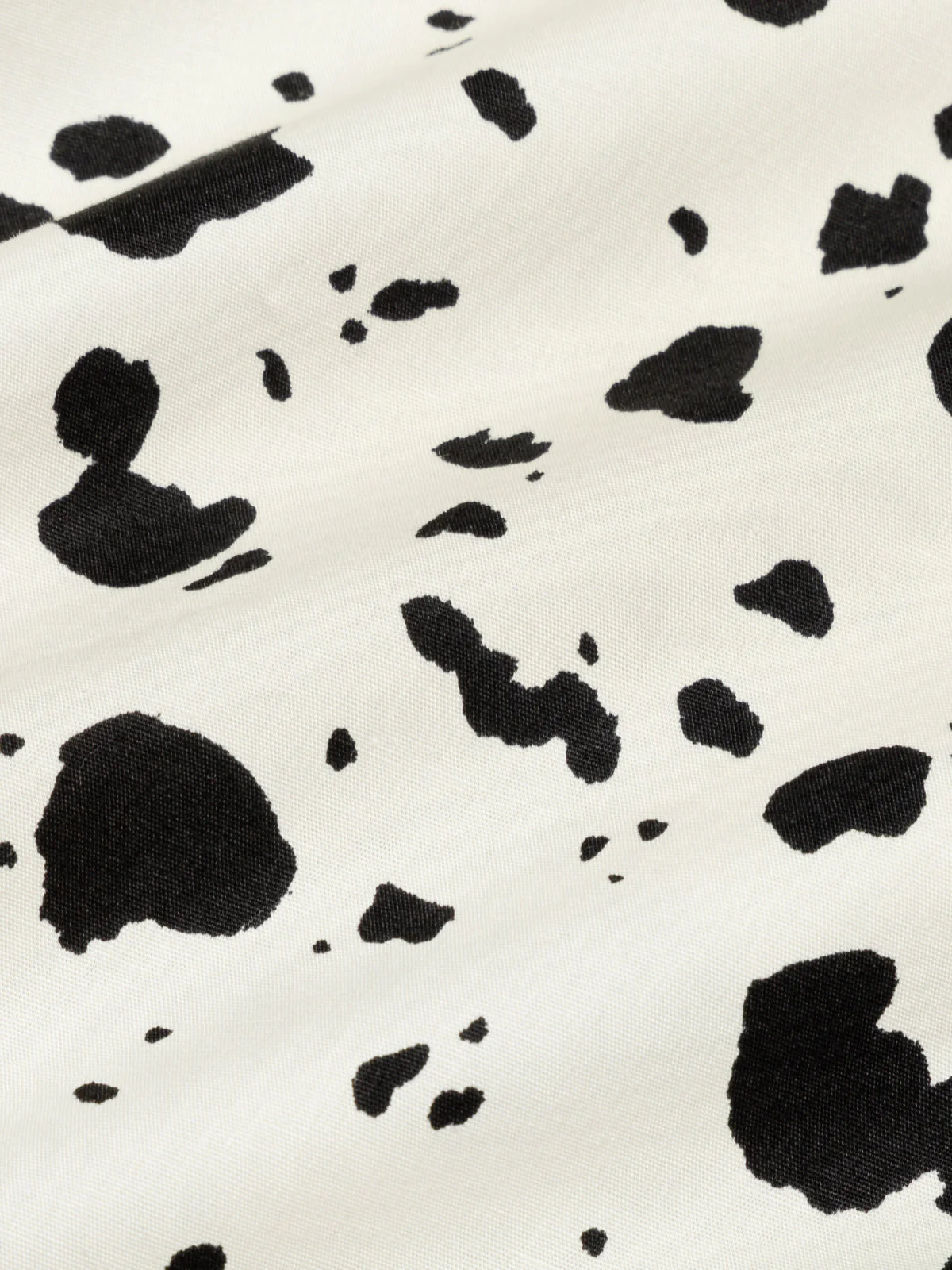 SZORTY ZIA DALMATA - Image 6